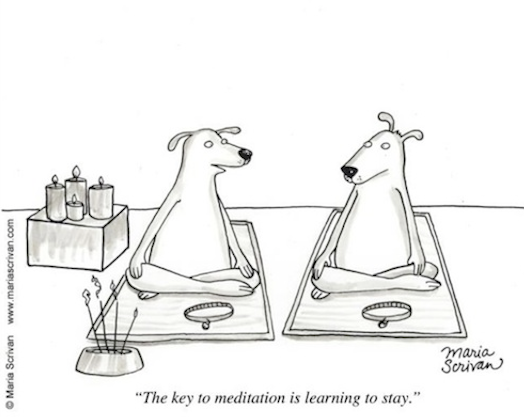 The trick to meditation is learning to Stay